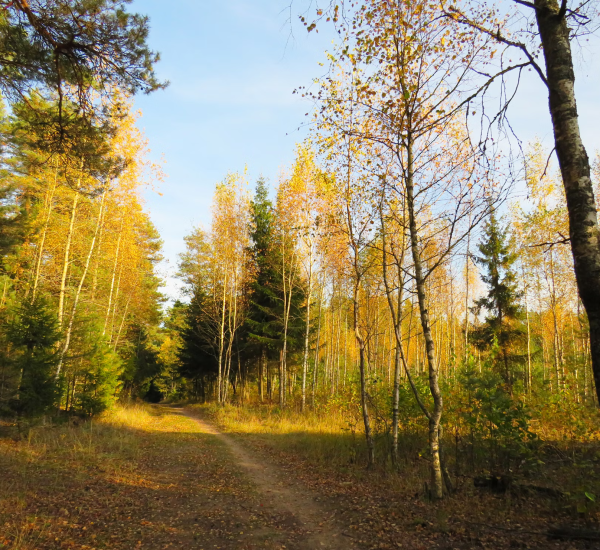 photo-1557482101-ca45d60ad37e